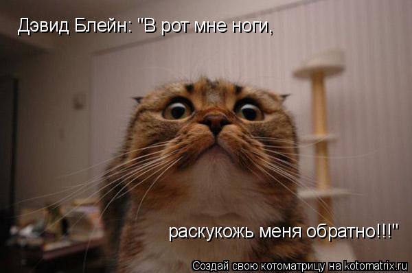 Дэвид Блейн: "В рот мне ноги, раскукожь меня обратно!!!"... Котоматрица: Дэвид Блейн: "В рот мне ноги, раскукожь меня обратно!!!"