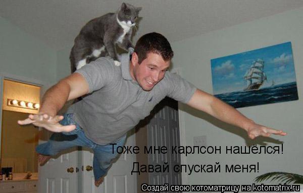Тоже мне карлсон нашёлся! Давай спускай меня!... Котоматрица: Тоже мне карлсон нашёлся! Давай спускай меня!