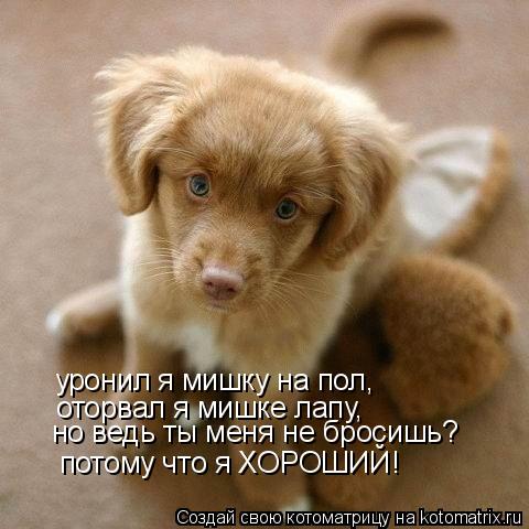 уронил я мишку на пол, оторвал я мишке лапу, но ведь ты меня не бросишь? потому что я ХОРОШИЙ!... Котоматрица: уронил я мишку на пол, оторвал я мишке лапу, но ведь ты меня не бросишь? потому что я ХОРОШИЙ!