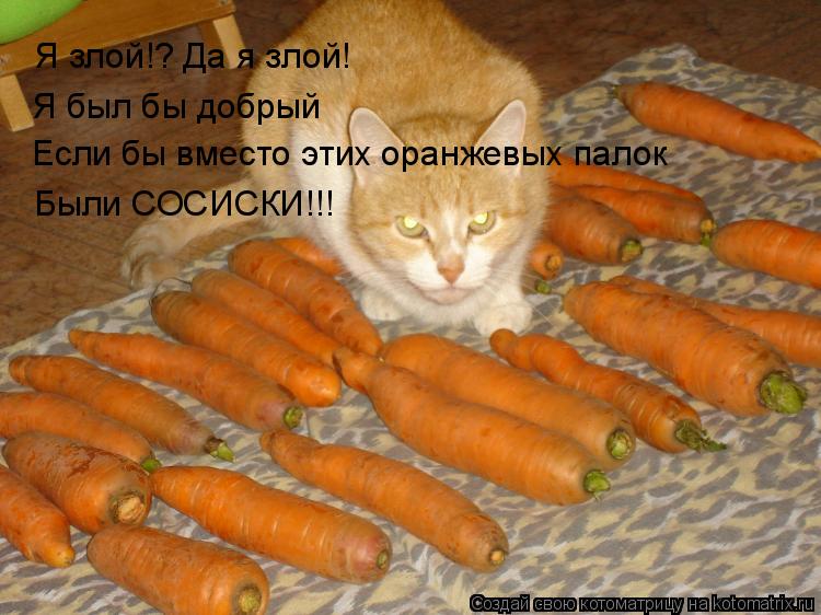 Я злой!? Да я злой! Я был бы добрый Были СОСИСКИ!!! Если бы вместо этих оранжевых палок... Котоматрица: Я злой!? Да я злой! Я был бы добрый Были СОСИСКИ!!! Если бы вместо этих оранжевых палок