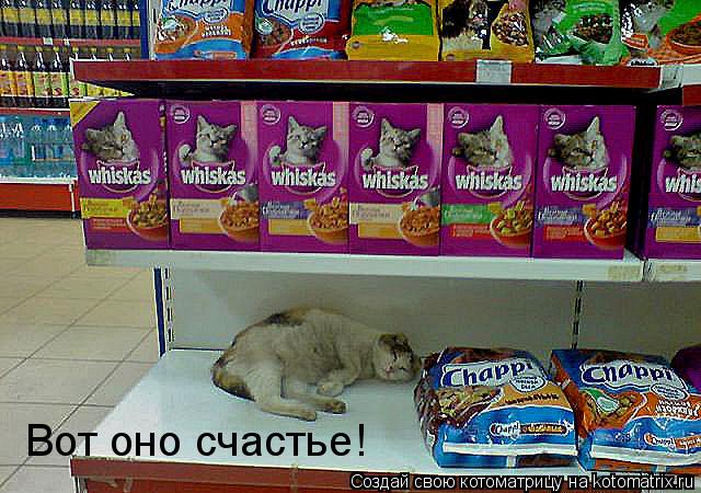 Вот оно счастье!... Котоматрица: Вот оно счастье!