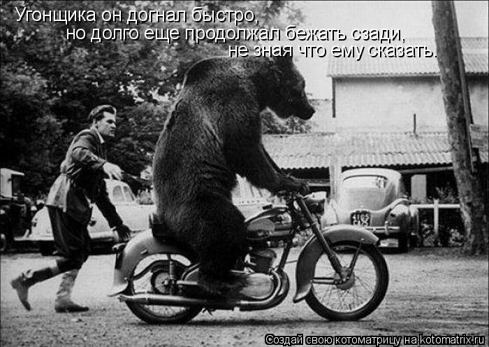 Угонщика он догнал быстро, но долго еще продолжал бежать сзади, не зная что ему сказать.... Котоматрица: Угонщика он догнал быстро, но долго еще продолжал бежать сзади, не зная что ему сказать.