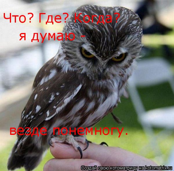 Что? Где? Когда? я думаю - везде понемногу.... Котоматрица: Что? Где? Когда? я думаю - везде понемногу.