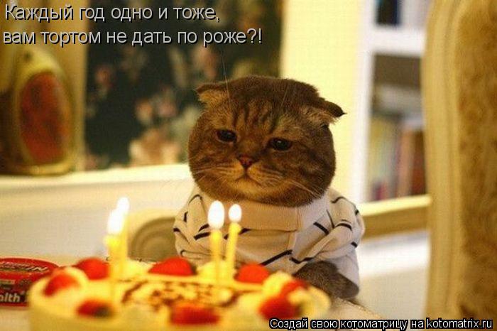 Каждый год одно и тоже, вам тортом не дать по роже?!... Котоматрица: Каждый год одно и тоже, вам тортом не дать по роже?!