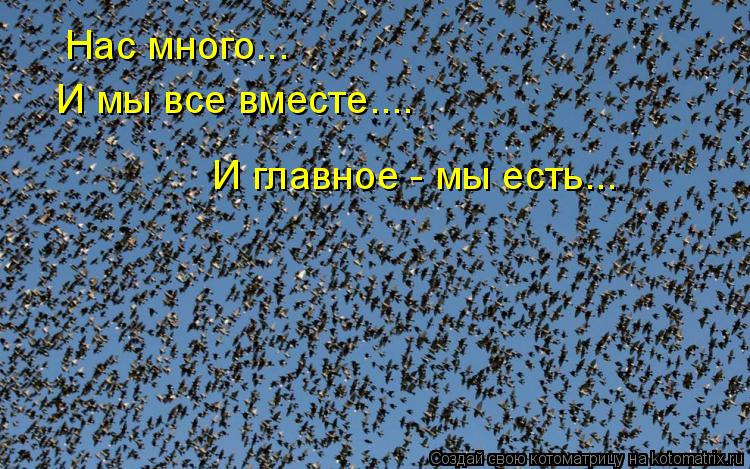 Нас много... И мы все вместе.... И главное - мы есть...... Котоматрица: Нас много... И мы все вместе.... И главное - мы есть...