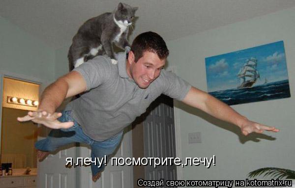 я лечу! посмотрите,лечу!... Котоматрица: я лечу! посмотрите,лечу!