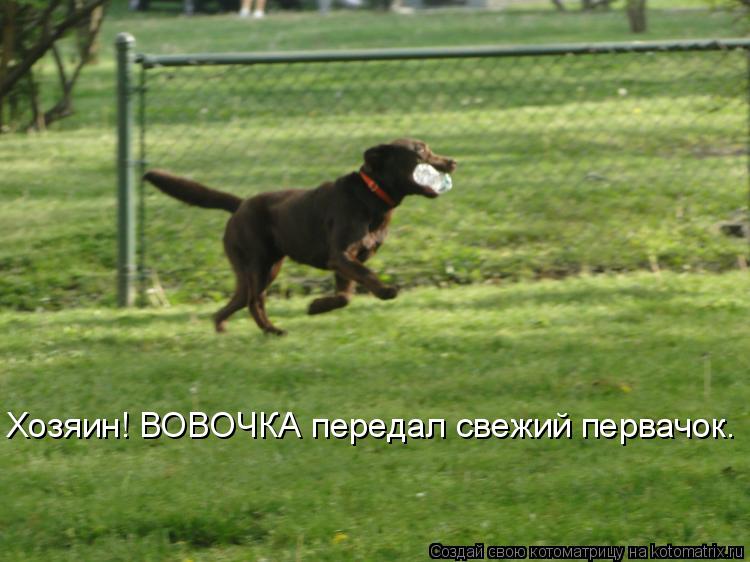 Хозяин! ВОВОЧКА передал свежий первачок.... Котоматрица: Хозяин! ВОВОЧКА передал свежий первачок.
