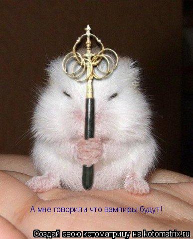 А мне говорили что вампиры будут!... Котоматрица: А мне говорили что вампиры будут!