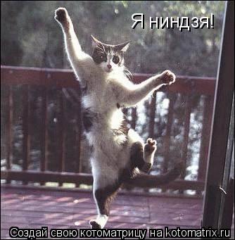 Я ниндзя!... Котоматрица: Я ниндзя!