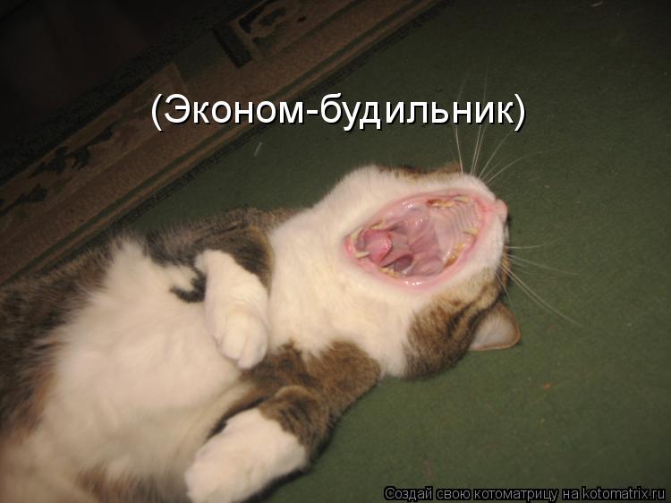 (Эконом-будильник)... Котоматрица: (Эконом-будильник)
