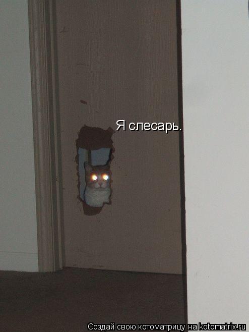 Я слесарь.... Котоматрица: Я слесарь.
