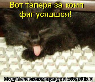 Вот таперя за компьютер Вот таперя за комп фиг усядшся!... Котоматрица: Вот таперя за компьютер Вот таперя за комп фиг усядшся!