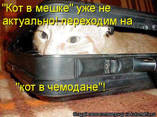 "Кот в мешке" уже не актуально! переходим на "кот в чемодане"!... Котоматрица: "Кот в мешке" уже не актуально! переходим на "кот в чемодане"!
