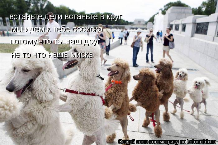 встаньте дети встаньте в круг мы идем к тебе сосиска потому что ты наш друг не то что наша миска... Котоматрица: встаньте дети встаньте в круг мы идем к тебе сосиска потому что ты наш друг не то что наша миска