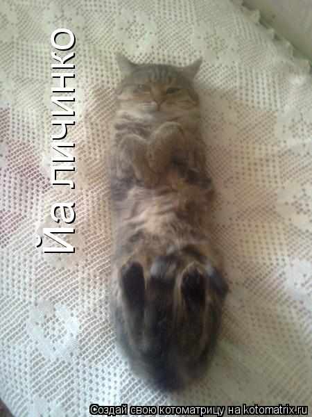 Йа личинко... Котоматрица: Йа личинко
