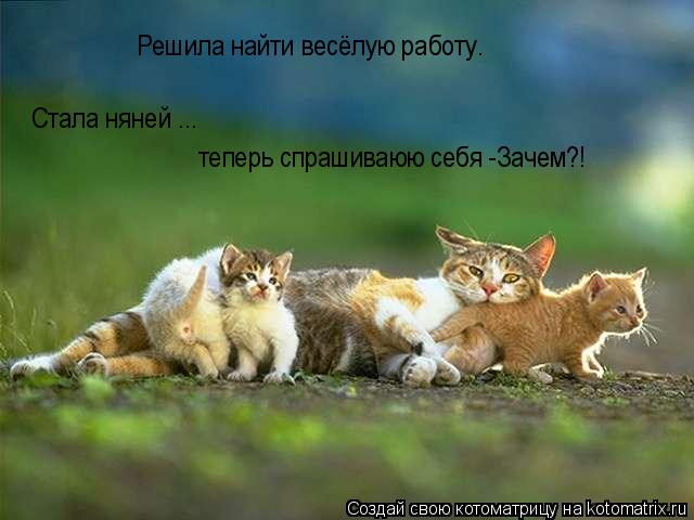теперь спрашиваюю себя -Зачем?! Стала няней ... Решила найти весёлую работу.... Котоматрица: теперь спрашиваюю себя -Зачем?! Стала няней ... Решила найти весёлую работу.