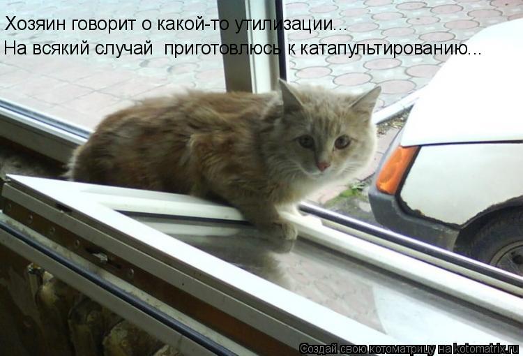 На всякий случай приготовлюсь к катапультированию... Хозяин говорит о какой-то утилизации...... Котоматрица: На всякий случай приготовлюсь к катапультированию... Хозяин говорит о какой-то утилизации...
