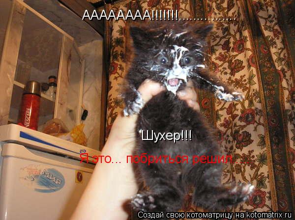 АААААААА!!!!!!!................ Шухер!!! Я это... побриться решил........ Котоматрица: АААААААА!!!!!!!................ Шухер!!! Я это... побриться решил.....
