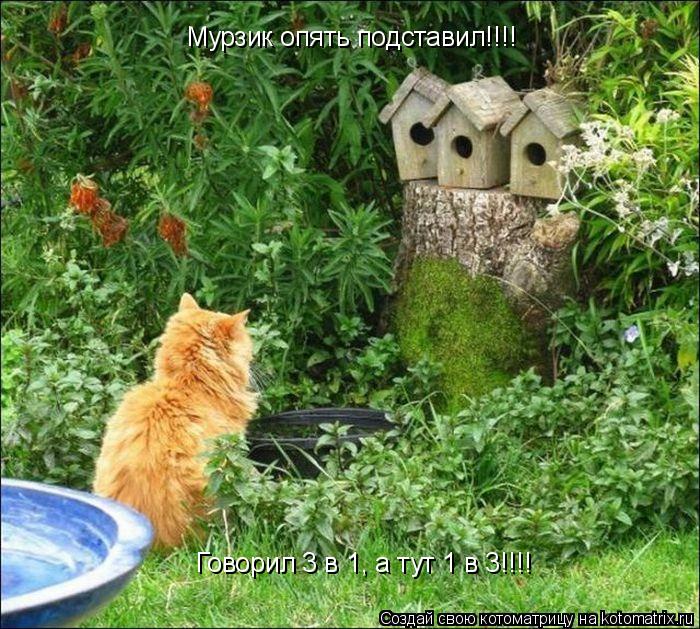 Мурзик опять подставил!!!! Говорил 3 в 1, а тут 1 в 3!!!!... Котоматрица: Мурзик опять подставил!!!! Говорил 3 в 1, а тут 1 в 3!!!!