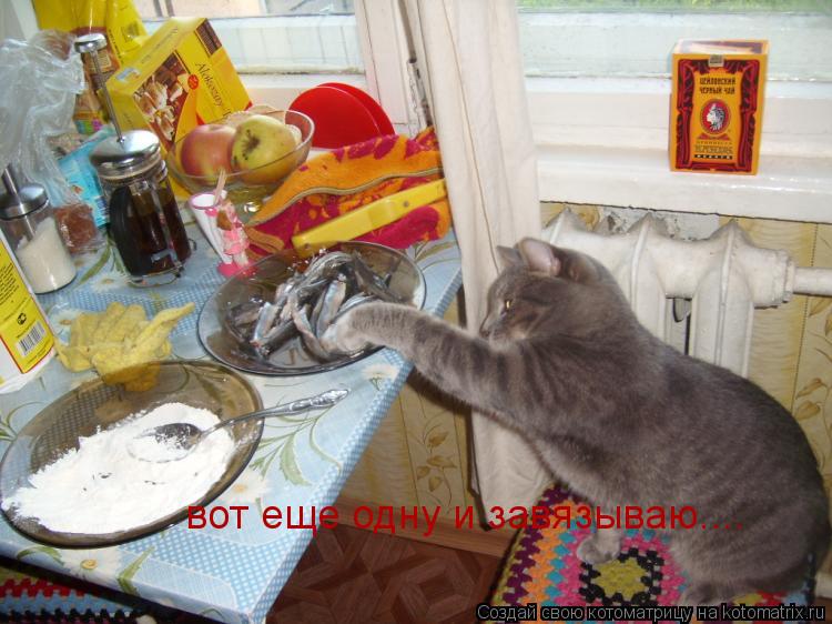 вот еще одну и завязываю....... Котоматрица: вот еще одну и завязываю....