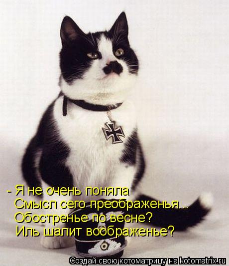 - Я не очень поняла Смысл сего преображенья... Обостренье по весне? Иль шалит воображенье?... Котоматрица: - Я не очень поняла Смысл сего преображенья... Обостренье по весне? Иль шалит воображенье?
