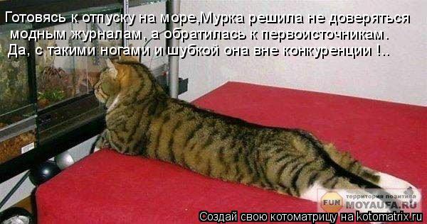 Готовясь к отпуску на море,Мурка решила не доверяться модным журналам, а обратилась к первоисточника... Котоматрица: Готовясь к отпуску на море,Мурка решила не доверяться модным журналам, а обратилась к первоисточникам. Да, с такими ногами и шубкой она вне