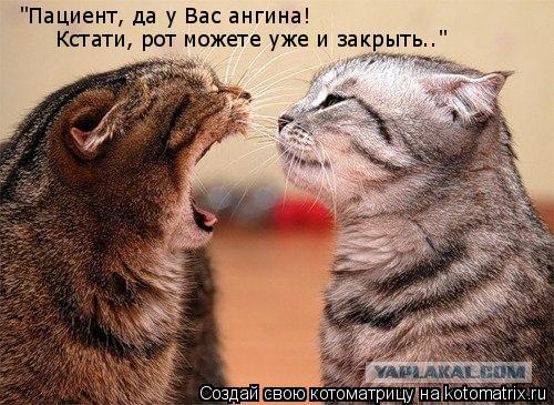 Котоматрица: "Пациент, да у Вас ангина!  Кстати, рот можете уже и закрыть.."