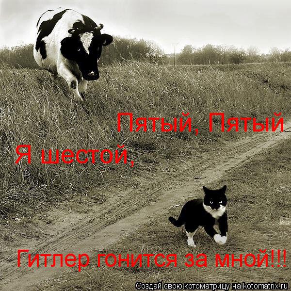 Пятый, Пятый Я шестой, Гитлер гонится за мной!!!... Котоматрица: Пятый, Пятый Я шестой, Гитлер гонится за мной!!!