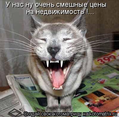 У нас ну очень смешные цены на недвижимость !...... Котоматрица: У нас ну очень смешные цены на недвижимость !...