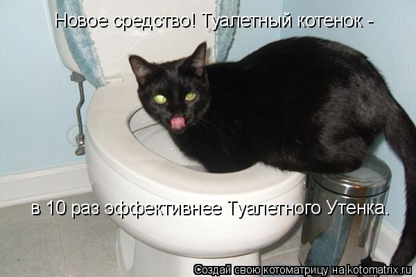 в 10 раз эффективнее Туалетного Утенка. Новое средство! Туалетный котенок -... Котоматрица: в 10 раз эффективнее Туалетного Утенка. Новое средство! Туалетный котенок -