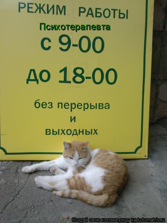 Котоматрица: Психотерапевта