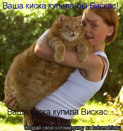 Котоматрица: Ваша киска купила-бы Вискас! Ваша киска купила Вискас....