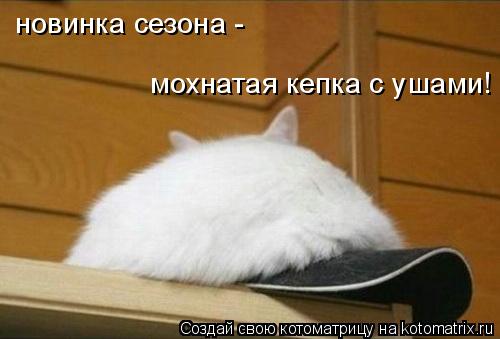 новинка сезона - мохнатая кепка с ушами!... Котоматрица: новинка сезона - мохнатая кепка с ушами!