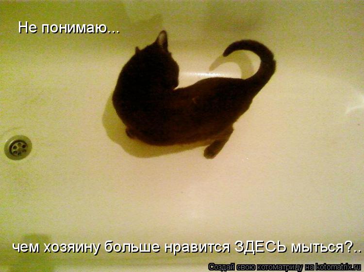 Не понимаю... чем хозяину больше нравится ЗДЕСЬ мыться?..... Котоматрица: Не понимаю... чем хозяину больше нравится ЗДЕСЬ мыться?..