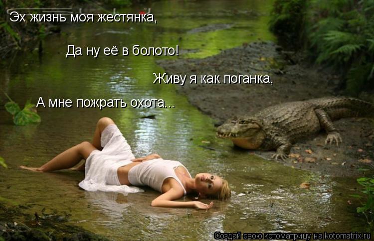 Да ну её в болото! Эх жизнь моя жестянка, Эх жизнь моя жестянка, Живу я как поганка, А мне пожрать ох... Котоматрица: Да ну её в болото! Эх жизнь моя жестянка, Эх жизнь моя жестянка, Живу я как поганка, А мне пожрать охота...