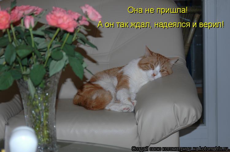 Она не пришла! А он так ждал, надеялся и верил!... Котоматрица: Она не пришла! А он так ждал, надеялся и верил!