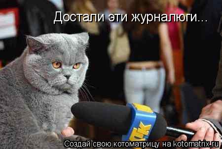 Достали эти журналюги...... Котоматрица: Достали эти журналюги...