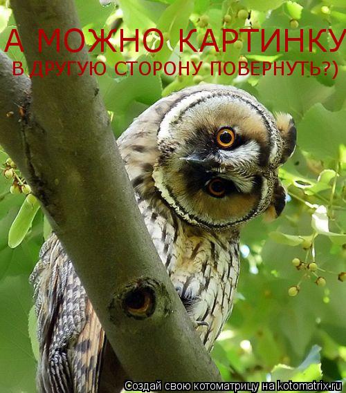 А МОЖНО КАРТИНКУ В ДРУГУЮ СТОРОНУ ПОВЕРНУТЬ?)... Котоматрица: А МОЖНО КАРТИНКУ В ДРУГУЮ СТОРОНУ ПОВЕРНУТЬ?)