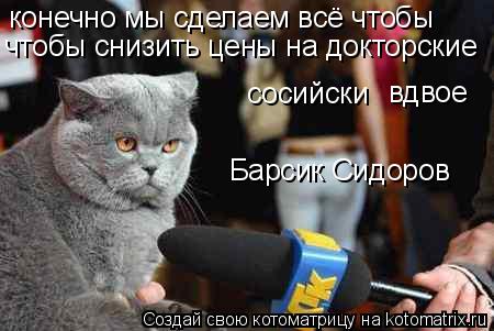 конечно мы сделаем всё чтобы чтобы снизить цены на докторские сосийски вдвое Барсик Сидоров... Котоматрица: конечно мы сделаем всё чтобы чтобы снизить цены на докторские сосийски вдвое Барсик Сидоров
