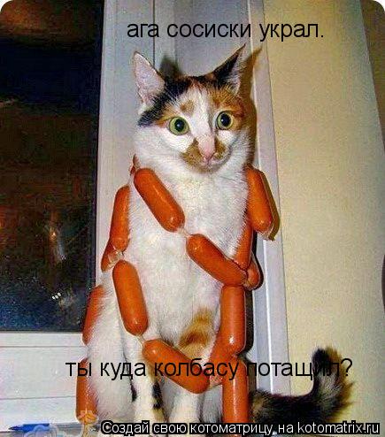ага сосиски украл. ты куда колбасу потащил?... Котоматрица: ага сосиски украл. ты куда колбасу потащил?