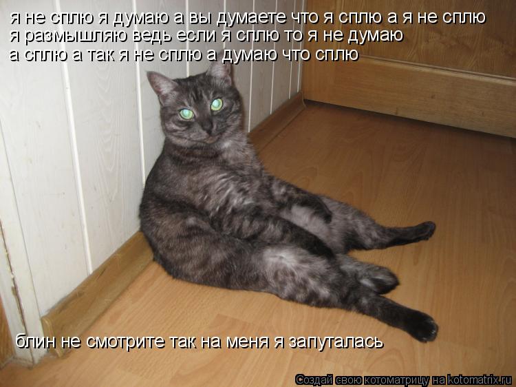 я не сплю я думаю а вы думаете что я сплю а я не сплю я размышляю ведь если я сплю то я не думаю а сп... Котоматрица: я не сплю я думаю а вы думаете что я сплю а я не сплю я размышляю ведь если я сплю то я не думаю а сплю а так я не сплю а думаю что сплю блин не с