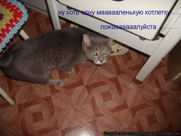 ну хоть одну маааааленькую котлетку пожааааааалуйста .......... ............. Котоматрица: ну хоть одну маааааленькую котлетку пожааааааалуйста .......... ..........