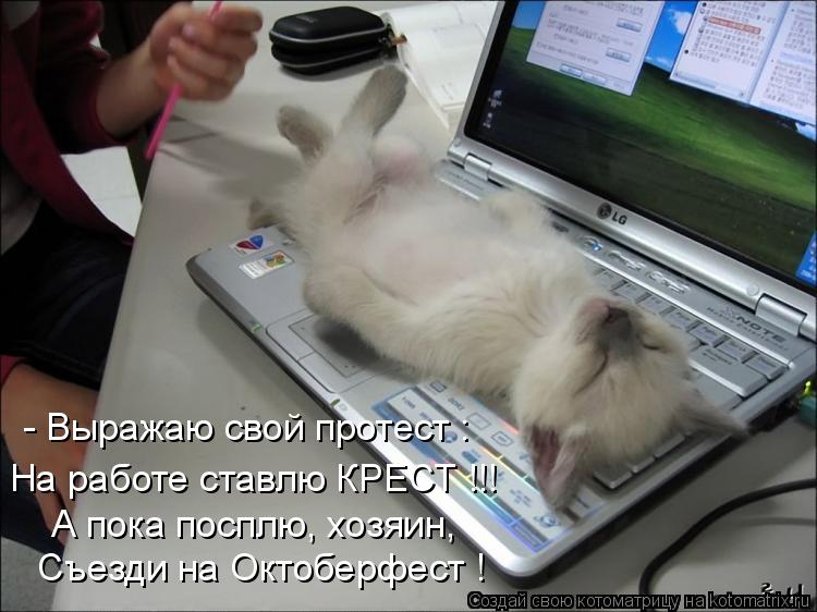 На работе ставлю КРЕСТ !!! А пока посплю, хозяин, Съезди на Октоберфест ! - Выражаю свой протест :... Котоматрица: На работе ставлю КРЕСТ !!! А пока посплю, хозяин, Съезди на Октоберфест ! - Выражаю свой протест :