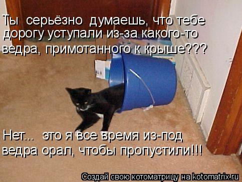 Ты серьёзно думаешь, что тебе ведра, примотанного к крыше??? Нет... это я все время из-под ведра о... Котоматрица: Ты серьёзно думаешь, что тебе ведра, примотанного к крыше??? Нет... это я все время из-под ведра орал, чтобы пропустили!!! дорогу уступали из-з