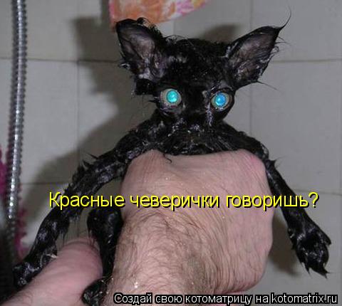 Красные чеверички говоришь?... Котоматрица: Красные чеверички говоришь?