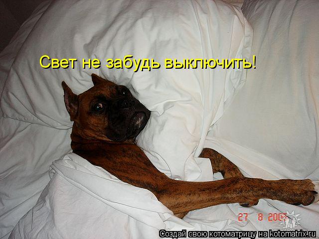 Свет не забудь выключить!... Котоматрица: Свет не забудь выключить!