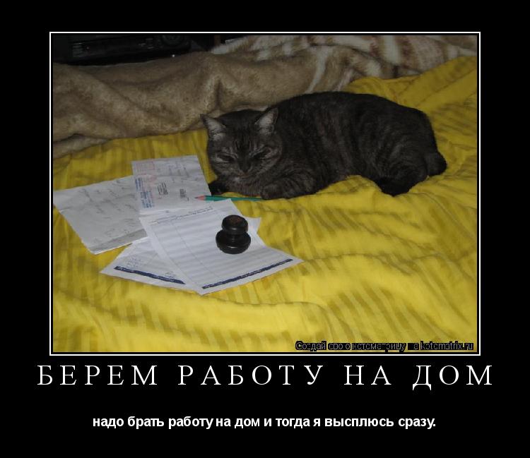 Берём работу на дом надо брать работу на дом и тогда я высплюсь сразу.... Котоматрица: Берём работу на дом надо брать работу на дом и тогда я высплюсь сразу.