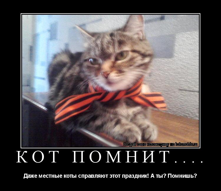 Кот помнит.... Даже местные коты справляют этот праздник! А ты? Помнишь?... Котоматрица: Кот помнит.... Даже местные коты справляют этот праздник! А ты? Помнишь?