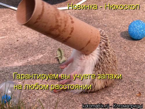 Новинка - Нюхоскоп Гарантируем вы учуете запахи на любом расстоянии... Котоматрица: Новинка - Нюхоскоп Гарантируем вы учуете запахи на любом расстоянии