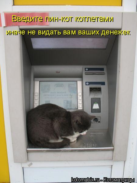 Введите пин-кот котлетами иначе не видать вам ваших денежек... Котоматрица: Введите пин-кот котлетами иначе не видать вам ваших денежек